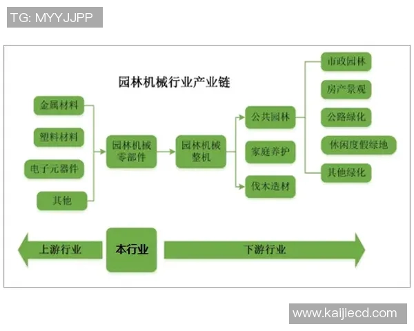 游泳运动的历史演变与技术创新发展趋势分析