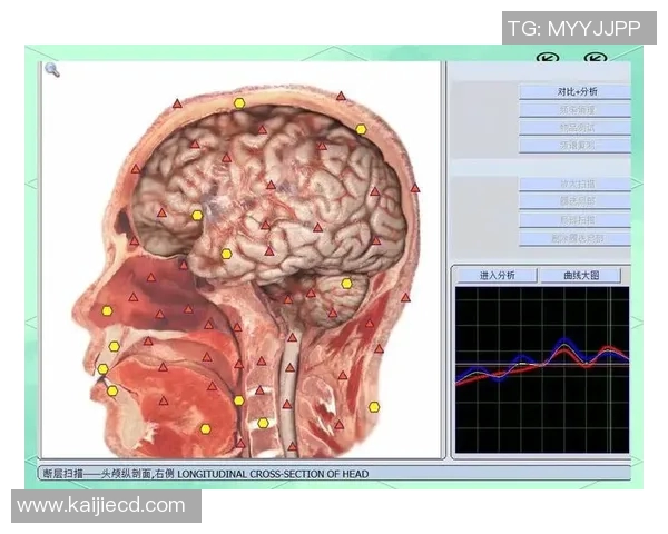 伤病管理与康复策略:从预防到治疗的全方位综合探讨 伤病管理与康复策略:从预防到治疗的全方位综合探讨