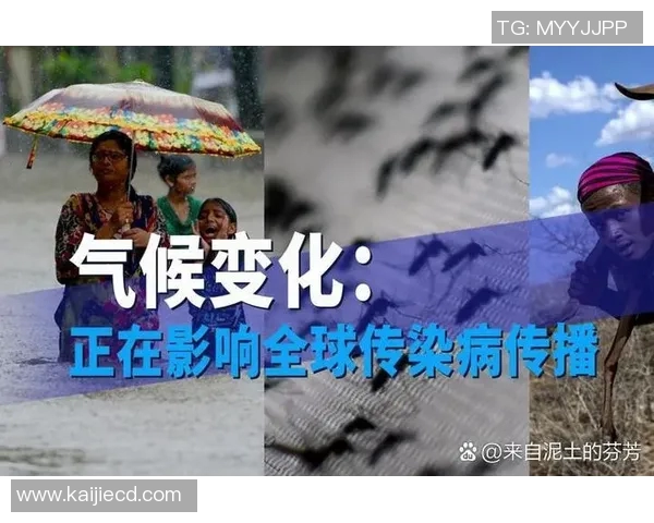 全球经济震荡加剧 国际形势复杂多变 各国应对策略面临严峻考验