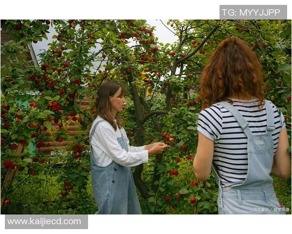 果园采摘乐趣体验之旅 感受自然丰收的喜悦与美好时光