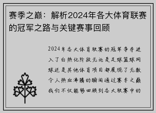 赛季之巅：解析2024年各大体育联赛的冠军之路与关键赛事回顾